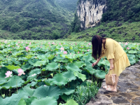 仙女误入靖西菏花池