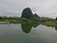 早晨雨后金山