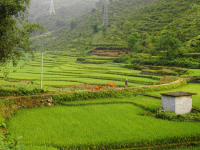 山村小景