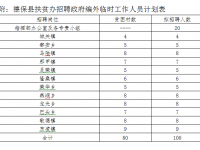 德保公开招聘政府编外工作人员100名