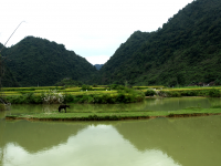 平江秋色：杂谈