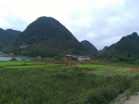 靖西市体育公园建设提上日程了