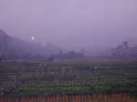 蒙蒙细雨下的田园