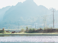 靖西的乡村，处处是美景！