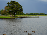 汉密尔顿湖的傍晚