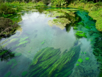 清澈透明的蓝泉之水