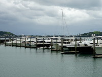 游览奥克兰海湾风光