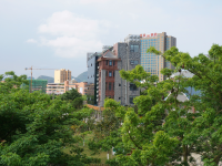 上山看风景，边城好风光。