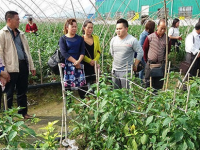 靖西市科协积极学习先进经验共谋产业发展思路