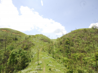 又是一年山岳山：恐怖的乌鸦山