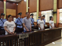 百色中院审理贩毒运毒案：四主犯2人死刑