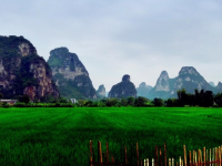 广西靖西市独有的风光美景，及县设立县级靖西市的介绍