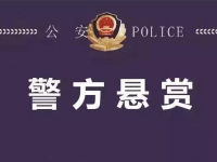 警方发布悬赏通告！在靖西见到这3人请立刻报警！