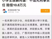 广西13岁小学生肢解同窗未追究刑事责任？法院通报这么说......