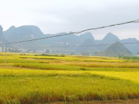 录峒田园秋景