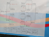 百色第五届运动会，恭喜靖西男足获得第一名