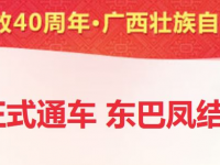 窜起东、巴、凤，金城江至百色高速11月28日起正式通车。