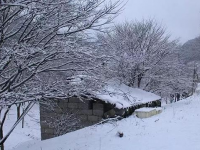 女大学生雪天获救后送锦旗致谢宁波警方：大雪封山，救我狗命