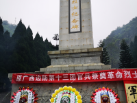 参战老兵回靖西祭奠英烈