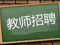 2019年度百色市中小学教师公开招考聘用公告