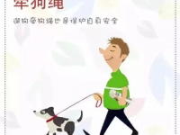 狗没咬人，却被判赔20多万！靖西人可要注意了！