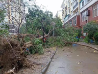 百色昨日遭受狂风肆虐，雷雨冰雹、还在后头，挺住！