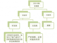 杭州37岁二胎妈妈怀孕31周遭遇“冰箱杀手”，差点胎死腹中！