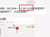 痛心！广西13岁女孩坠楼当场死亡！其母亲多次大喊：为什么给她玩手机！