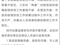 疫情防控履职不力，靖西多名干部被问责！