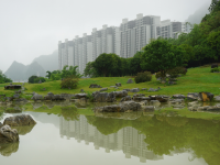 雨中的太极公园