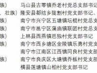 好样的！靖西这些人喜获荣誉称号！广西全区通报表扬