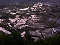 元阳梯田