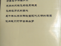 发现这本书，有关侬智高的。