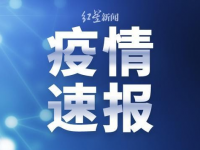 2月11日，全国新增2015例，累计确诊44653例，累计死亡1113例