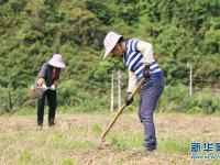 药价降了、看病便捷了、养老金涨了……这些民生礼包收到了吗？