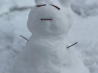 靖西应该下一场雪了，都已经那么冷了