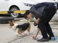 靖西人注意！广西通过卫生新规：逐步取消农贸市场活禽买卖，不得直接接触熟食……