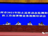 靖西市召开2021年防止返贫动态监测和帮扶工作部署及业务培训会