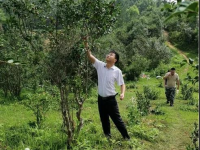 靖西市吞盘乡：增添脱贫攻坚底色，提升乡村振兴成色