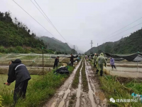 “零容忍”合力打击“两违”建筑