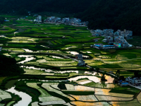 靖西乡村夏日风貌，风和日丽