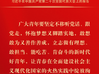 二十大报告中关于教育的这些话，掷地有声！