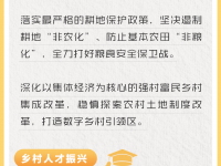 全面推进乡村振兴，如何发力