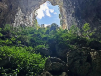 靖西市新增一处红色教育现场教学基地——魁圩乡德周村