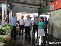 靖西市委书记郝玉松带队现场检查指导创建国家卫生城市和自治区文明城市工作