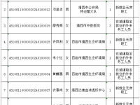 靖西市2024年第2批公共租赁住房申请对象审核结果公示