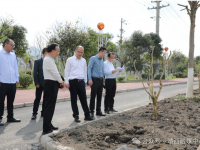 靖西市委书记郝玉松深入城镇建设项目现场办公