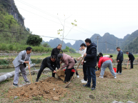 靖西市武平镇：植树造林添新绿和美乡村添动力