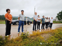 百色市人大常委会调研组到靖西市开展乡村振兴工作情况专题调研