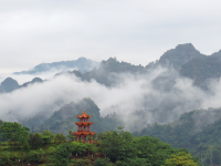 雨后的云雾山 仙境般存在人间